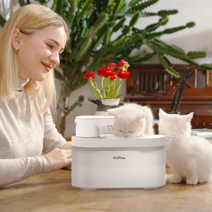 KITPLUS Crystal Clear Wireless Water Dispenser