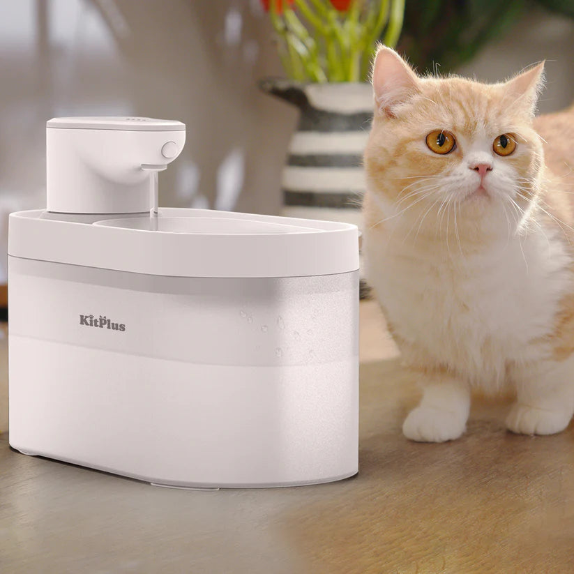 KITPLUS Crystal Clear Wireless Water Dispenser